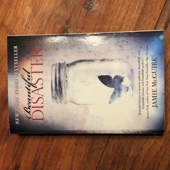 Beautiful Disaster Book - Picture 1 of 8